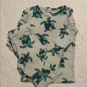 Tea Collection Turtle Print Pajama Set - Green and Blue